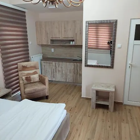 Alijansa Hotel Čačak